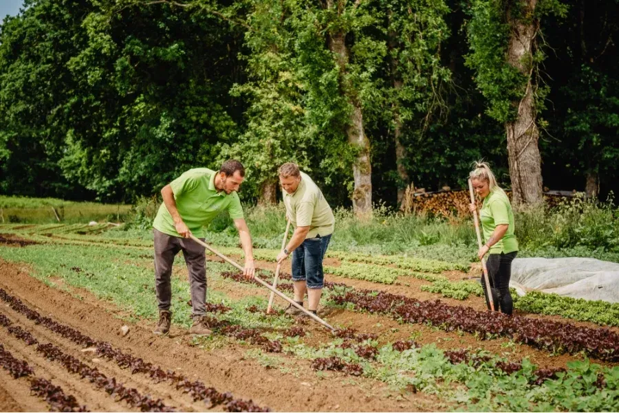 Jardin à Dol-de-Bretagne