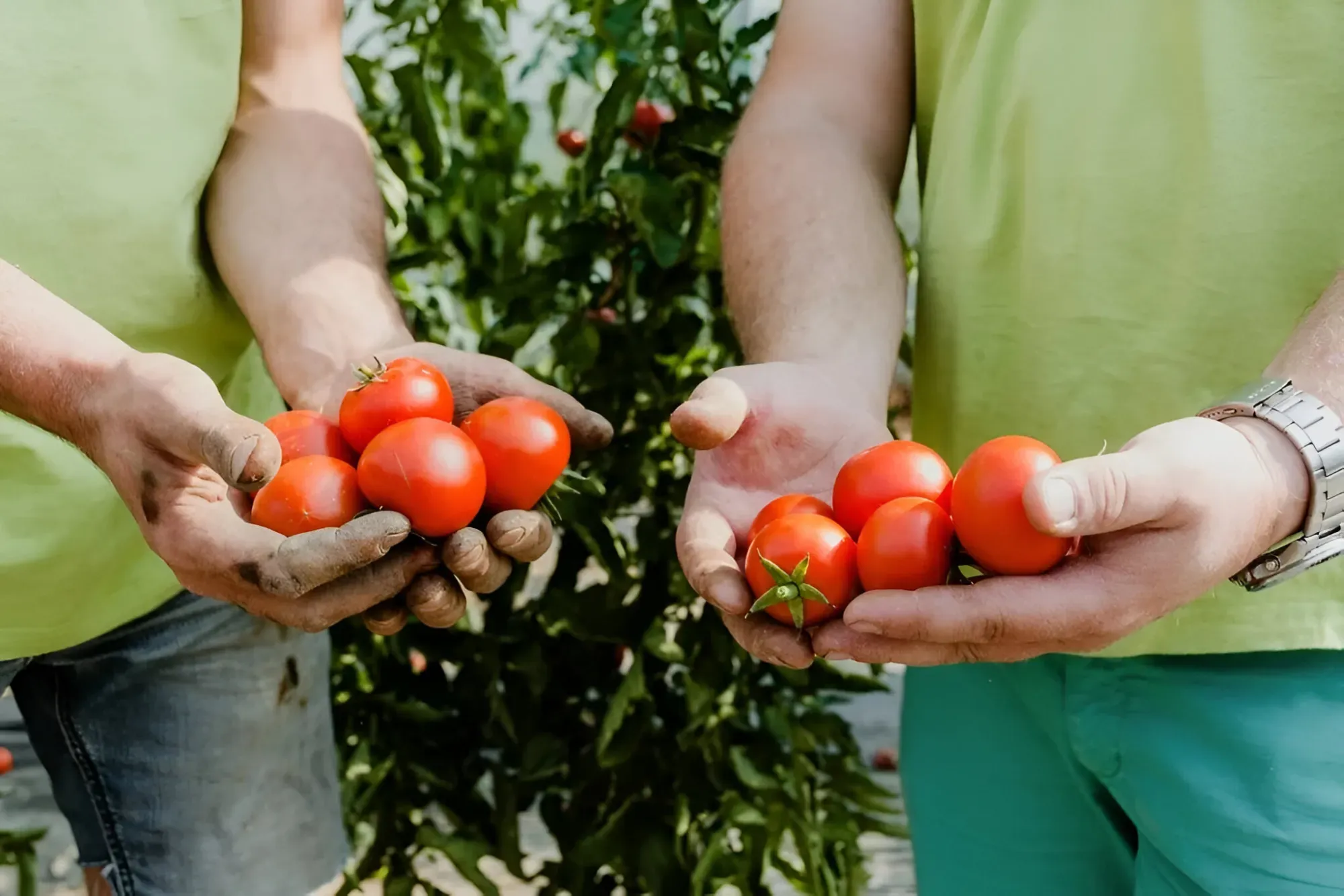 agriculture